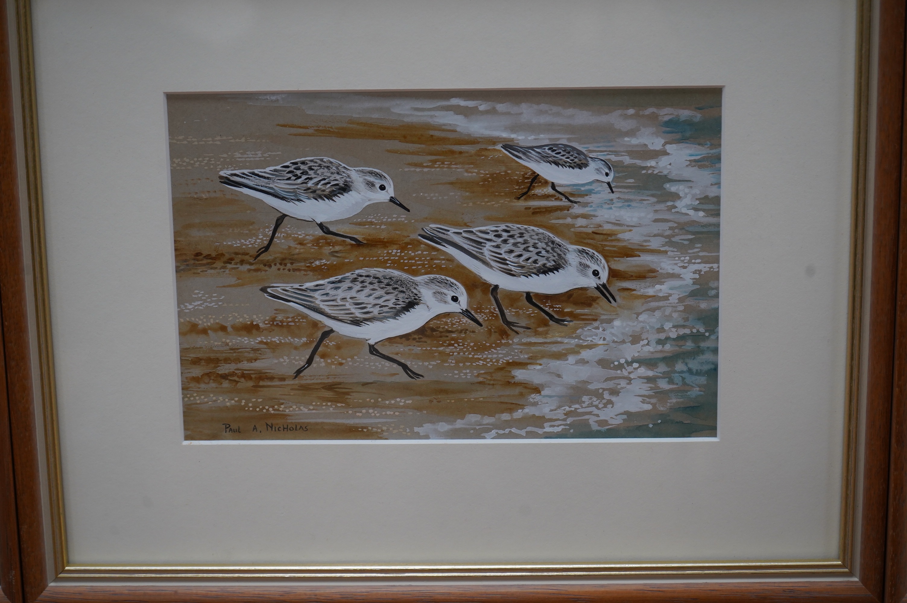 Paul A Nicholas (b.1943), set of three watercolour and gouaches, including ‘Little Ringed Plover’ and ‘Dipper’, each signed, 12 x 19cm. Condition - good
